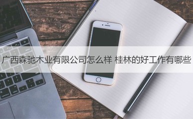 廣西森馳木業(yè)評價與桂林優(yōu)質(zhì)工作機會及工藝美術(shù)品收藏品零售行業(yè)前景